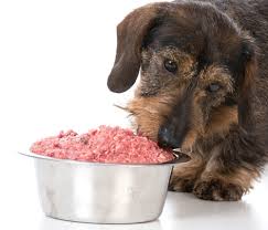Freeze Dried Raw Dog Foods
